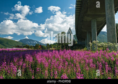 Arktische Kathedrale und Brücke in Tromsø, Norwegen Stockfoto