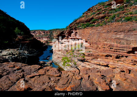 Murchison River Gorge - Kalbarri - Australien Stockfoto