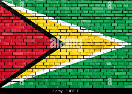 Flagge von Guyana auf Mauer gemalt Stockfoto