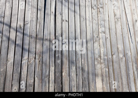 Beschädigten alten Kiefer Kiefer große Halle, in der Nähe - auf dem Land Stockfoto