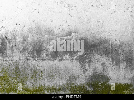 Alte Betonwand mit Schimmel oder Pilz Stockfoto