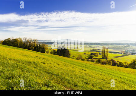 Weiden und Wiesen in der Schweiz Stockfoto