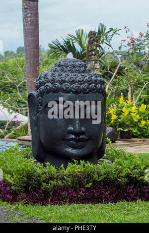 Stein Schwarz buddha Kopf im Garten Stockfoto