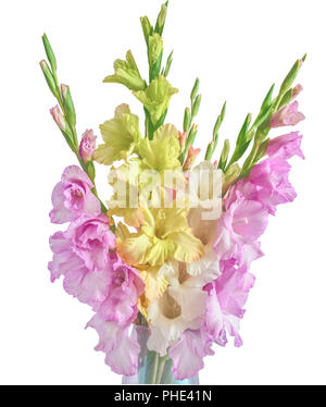 Romantisches Bouquet von schönen gladioluses Blüten in Pastelltönen in Vase auf einem weißen Hintergrund isoliert mit zarten Blumenmustern Stockfoto