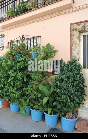 Eingemachte Blumen vor einem Haus. Andalusien Stockfoto