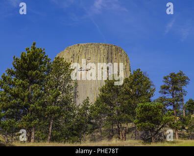 Devils Tower National Monument Wyoming Stockfoto