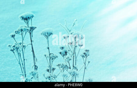 Winterlandschaft. Stockfoto