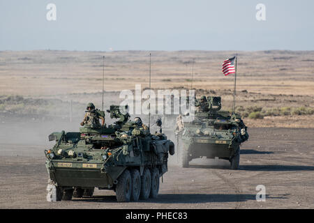 Oklahoma Army National Guard Soldaten mit der 1. Staffel, 82nd Kavallerie Regiments, Manöver M1128 Stryker gepanzerten Kampffahrzeugen während ihrer jährlichen Training (AT), 25. Juli 2018, im Orchard Combat Training Center in der Nähe von Boise, Idaho. Dies war die erste Am 1-82 nd Kavallerie Schwadron in der Lage war, eine vollständige Reihe von Live-fire Qualifikationen mit ihren Stryker Fahrzeuge zu führen, dass sie vor weniger als zwei Jahren erhalten. (Oklahoma Army National Guard Foto: Staff Sgt. Zachary Holden, Oregon militärische Abteilung Public Affairs) Stockfoto