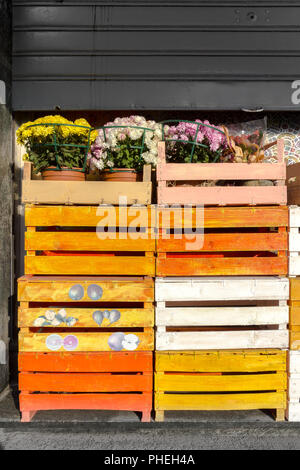 Farbige Holzkisten mit Blumen auf der Oberseite Stockfoto