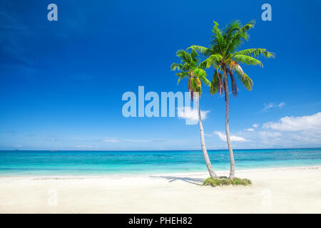 Strand und das tropische Meer Stockfoto