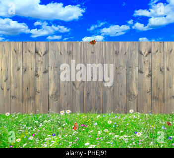 Holzzaun steht auf dem Rasen mit Gras und Blumen Stockfoto