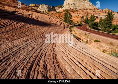 Landschaft im Zion National Park Stockfoto