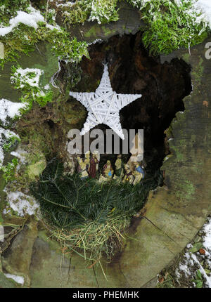 Weihnachtskrippe; Deutschland; in hohlen Baumstumpf; Stockfoto