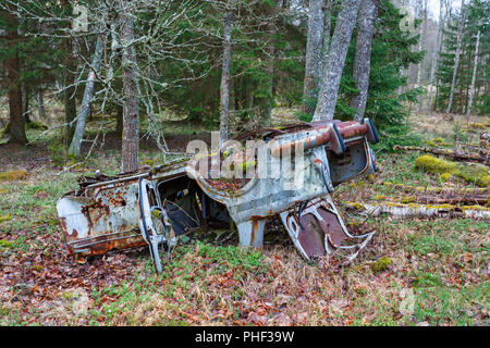 Auto Wrack im Wald Stockfoto