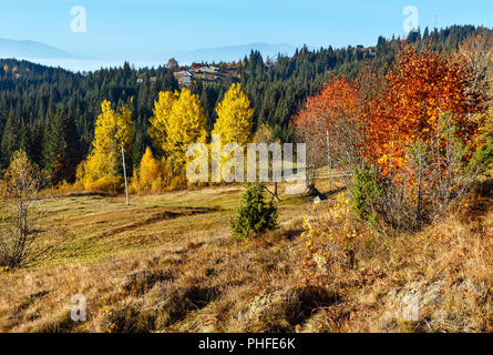 Morgen herbst Karpaten Landschaft. Stockfoto