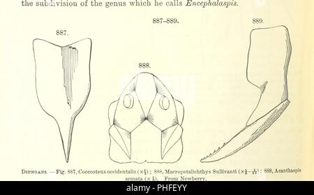 Bild von Seite 598 "[Manual der Geologie behandelt die Grundsätze der Wissenschaft mit besonderer Berücksichtigung der Amerikanischen geologischen Geschichte. Überarbeitete Ausgabe.]'. Stockfoto