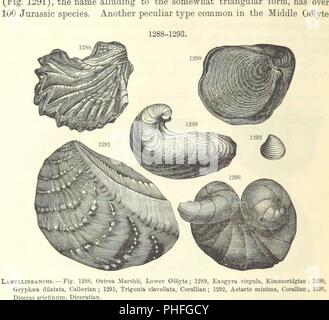 Bild von Seite 790 "[Manual der Geologie behandelt die Grundsätze der Wissenschaft mit besonderer Berücksichtigung der Amerikanischen geologischen Geschichte. Überarbeitete Ausgabe.]'. Stockfoto