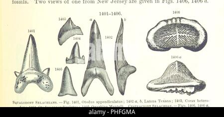 Bild von Seite 853' [Manual der Geologie behandelt die Grundsätze der Wissenschaft mit besonderer Berücksichtigung der Amerikanischen geologischen Geschichte. Überarbeitete Ausgabe.]'. Stockfoto