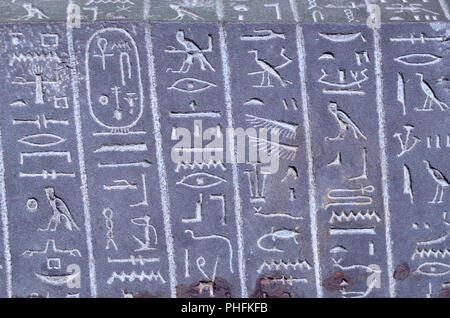 Ägyptische Hieroglyphen auf dem Sarkophag des "Gottes Frau 'Ankhnesneferiba. "Spätzeit" (664-332 v. Chr.) British Museum, Bloomsbury, London, England, U Stockfoto