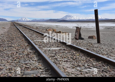 Zug läuft über den Salar de Chiguana im Noch Lipez Provinz, in der Nähe von Uyuni, Bolivien. Stockfoto