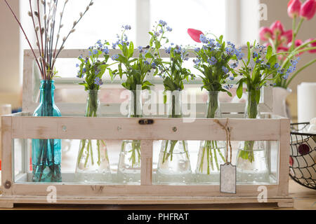 Schöne Sträuße von blau und rosa Farben in Glas Vasen. Frühling Blumen für Home Interior. Schöne Blumensträuße vergiss mich nicht und Tulpen in Glasvasen n Stockfoto