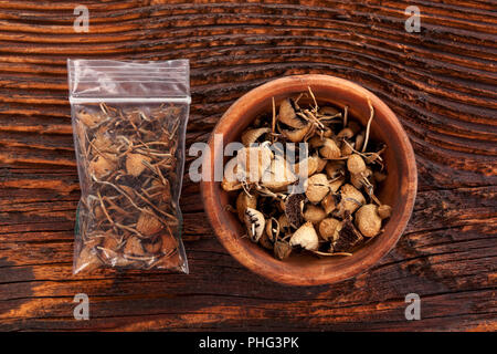 Trockene psilocybin magic mushrooms in Plastiktüte und hölzerne Schüssel auf braunen Tisch. Medizinische alternative Heilmittel. Stockfoto