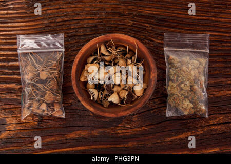 Trockene psilocybin Pilze und Marihuana Knospen in Plastiktüten auf braunen Tisch. Medizinische alternative Heilmittel. Stockfoto