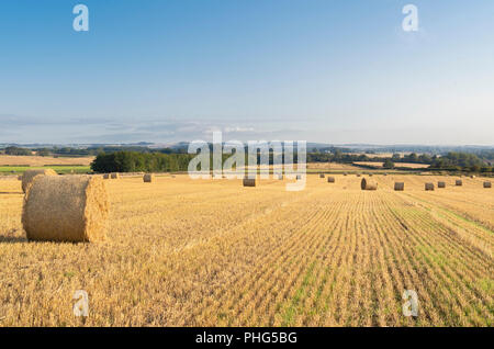 Hay Bales after harvest Stockfoto