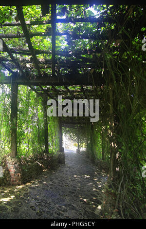 Gasse in Pflanzen in Altos de Chavon, Dominikanische Republik Stockfoto