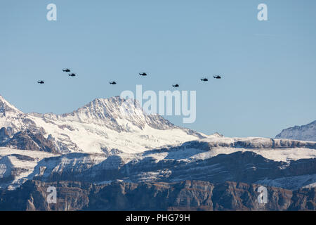 Die Schweizer Luftwaffe fliegt mit seinem Hubschrauber ein Display in den Alpen im Berner Oberland in der Schweiz Stockfoto