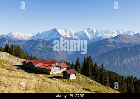 Alpine Landschaft mit Hütten auf dem Niederhorn im Berner Oberland in der Schweiz mit Eiger, Mönch und Jungfrau im Hintergrund Stockfoto