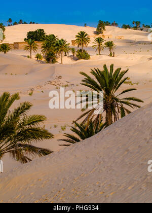 Sanddünen in der Wüste Sahara in der Nähe von Douz Tunesien Afrika Stockfoto