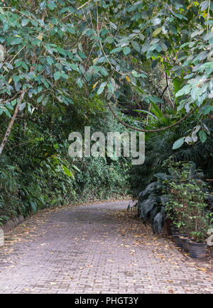 Kurve brick Bürgersteig entlang der Baum Zeile auf dem Hügel, in den Botanischen Garten. Stockfoto