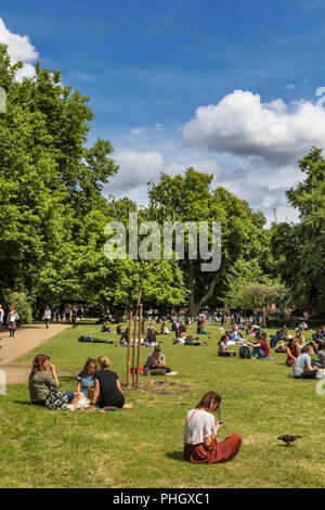 Lincoln's Inn Fields, Holborn, London, England, Großbritannien Stockfoto