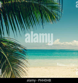 Tropical Island Beach. Perfekter Urlaub Hintergrund. Stockfoto