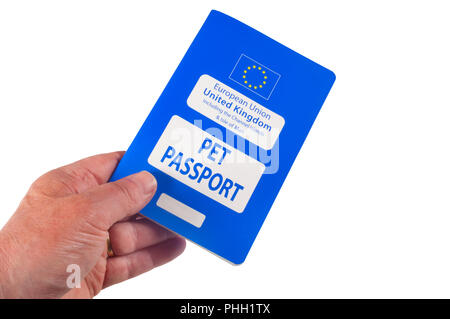 Studio Bild einer männlichen Hand mit einem Europäischen Heimtierausweis isoliert auf Weiss - Johannes Gollop Stockfoto