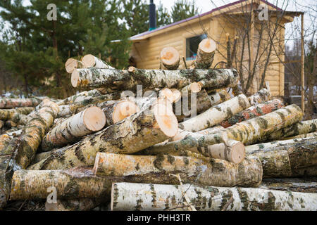 Birke, für Brennholz vorbereitet Stockfoto