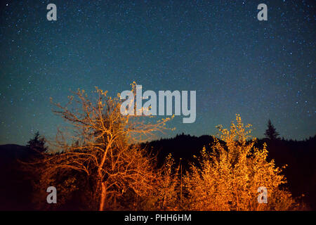 Dunkle Nacht Himmel über Herbst Wald Stockfoto