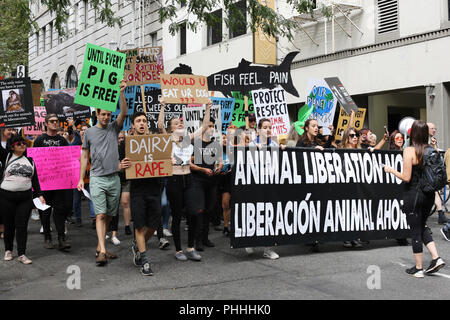 Portland, Oregon, USA. 1. September 2018. März Aktivisten für die Rechte der Tiere durch die Straßen von Portland, Oregon, USA. Credit: Gina Kelly/Alamy leben Nachrichten Stockfoto