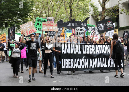 Portland, Oregon, USA. 1. September 2018. März Aktivisten für die Rechte der Tiere durch die Straßen von Portland, Oregon, USA. Credit: Gina Kelly/Alamy leben Nachrichten Stockfoto