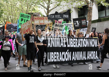 Portland, Oregon, USA. 1. September 2018. März Aktivisten für die Rechte der Tiere durch die Straßen von Portland, Oregon, USA. Credit: Gina Kelly/Alamy leben Nachrichten Stockfoto