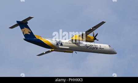 Richmond, British Columbia, Kanada. 31 Aug, 2018. Eine Alaska Airlines (Horizon Air) Bombardier Dash 8 Q400 (N 403 QX) Turboprop regional Airliner, in speziellen ''Montana State University Bobcats'' Livery bemalt, Airborne nach dem Take-off. Die Fluggesellschaften sind Teil von Alaska Air Group Inc. Credit: bayne Stanley/ZUMA Draht/Alamy leben Nachrichten Stockfoto