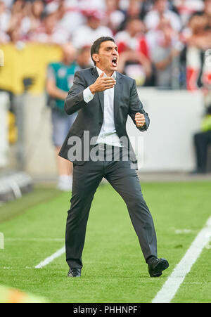 Stuttgart, Deutschland. 1. September, 2018. VFB Stuttgart - FC Bayern München, Fußball, Stuttgart, September 01, 2018 Tayfun KORKUT, VFB-Cheftrainer, Gestikulieren, geben Anweisungen, Aktion, Bild, Geste, Gestik, Bewegung, zeigen, interpretieren, Mimik, VFB Stuttgart - FC BAYERN MÜNCHEN 0-3 - DFL-Bestimmungen verbieten die Verwendung von Fotografien als BILDSEQUENZEN und/oder quasi-VIDEO - 1. Bundesliga, Stuttgart, September 01, 2018, Saison 2018/2019, Spieltag 2, FCB, © Peter Schatz/Alamy Live News Credit: Peter Schatz/Alamy leben Nachrichten Stockfoto