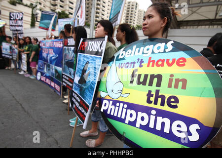 Philippinen. 2. Sep 2018. Umwelt- und Tierschutzgruppen führen durch die Philippinische Tierschutz Gesellschaft (TATZEN) ein Programm vor der japanischen Botschaft in Pasay City, Metro Manila gehalten, für das Ende der Wale und Delfine Jagen von der japanischen Regierung, der tötet Hunderte von Meereslebewesen für wissenschaftliche Zwecke. Die Gruppen als auch für das Verbot der Einfuhr von Beluga Wale für Shows und Gewinn. Credit: J Gerard Seguia/ZUMA Draht/Alamy leben Nachrichten Stockfoto