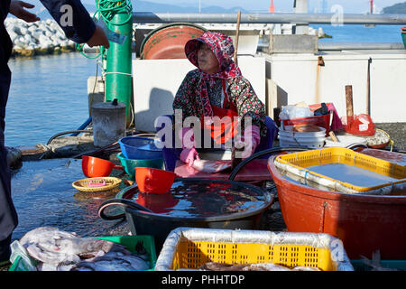 Frau Reinigung Fisch für Bargeld Käufer auf dem Kai des kleinen Fischerhafen von Haeundae Beach, Busan, in den frühen Morgenstunden. Stockfoto