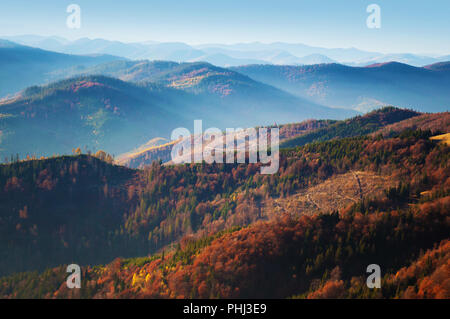 Spektakuläre Aussicht auf die Hügel von Smoky Mountain Range in rot, orange und gelb Laubwald bedeckt und grünen Pinien unter blauen wolkenlosen Himmel o Stockfoto