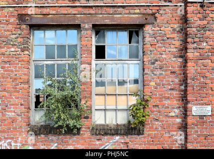 Fenster einer verlassenen Fabrik in Magdeburg. Stockfoto