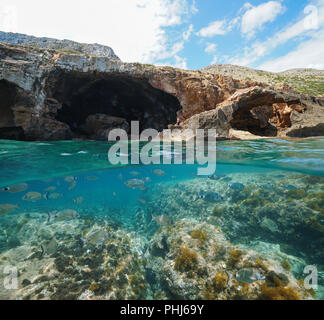 Felsige Küste mit großen Höhle am Meer und Fisch unter Wasser, geteilte Ansicht oberhalb und unterhalb der Wasseroberfläche, Mittelmeer, Costa Blanca, Javea, Spanien Stockfoto