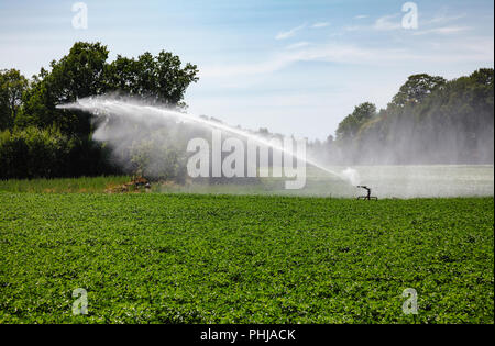 Tragbare Beregnung Maschine spaying Wasser über einem Ackerland während einer Dürre im Sommer Stockfoto