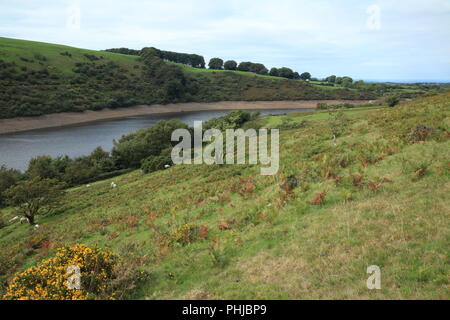 Meldon Reservoir, Nationalpark Dartmoor, Devon, England, Großbritannien Stockfoto